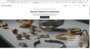 page d'accueil du site frauduleux